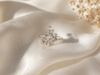 Snow frost ring